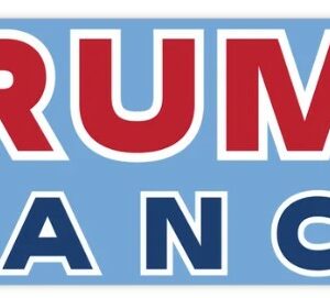 Trump 2024: Vote for Felon, Shot, Vance, Bumper Sticker, Decal, Magnet 16 Trump Vance 2024 stickerTrump 2024 bumper sticker trump 47 Election sticker Trump decal Trump magnet Republican Vote For Felon shot2