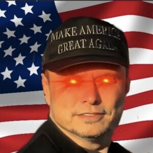 Elon Musk MAGA Hat: Show Your Support for the Chief Twit 7 Elon Musk MAGA Hat