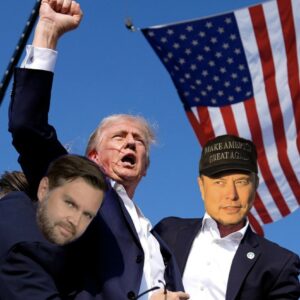 Elon Musk MAGA Hat: Show Your Support for the Chief Twit 6 Elon Musk MAGA Hat US