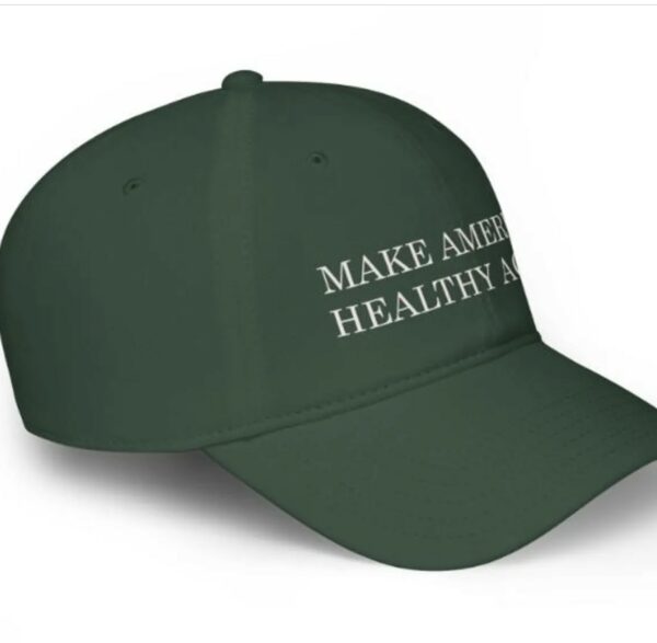 Make America Healthy Again Dad Hat Caps