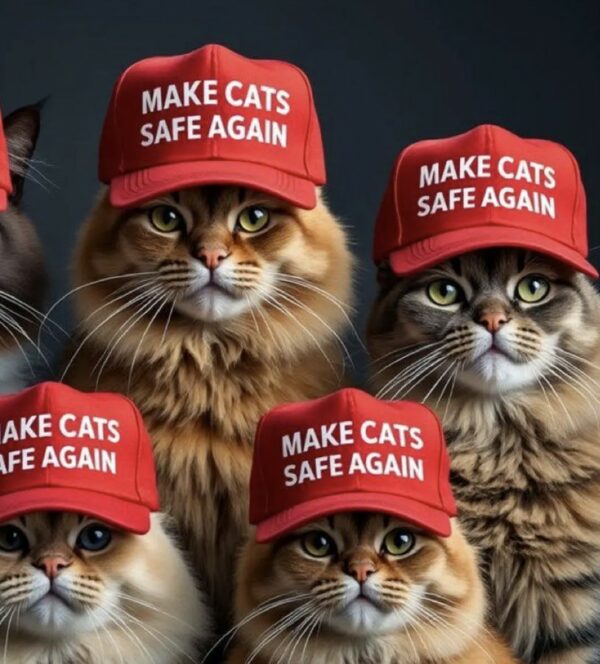 Make Cats Safe Again Hat Cap