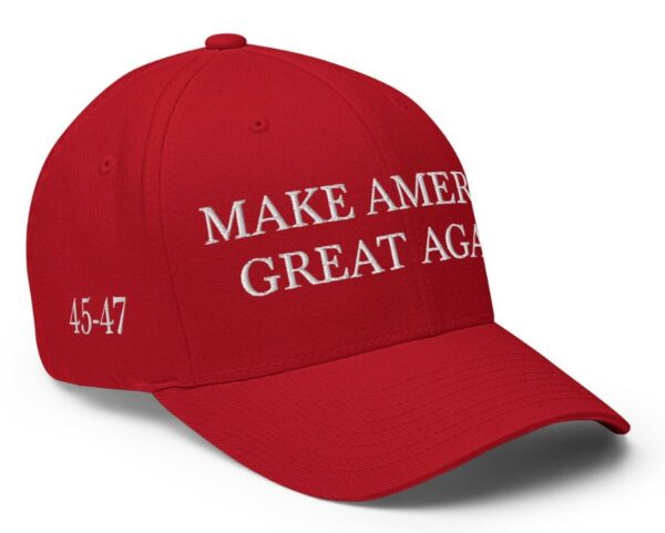 Trump 2024 Embroidered Structured Flexfit Hat, MAGA Make America Great Again Hat, President Donald Trump Hat, Trump USA Hat1